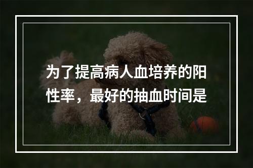 为了提高病人血培养的阳性率，最好的抽血时间是