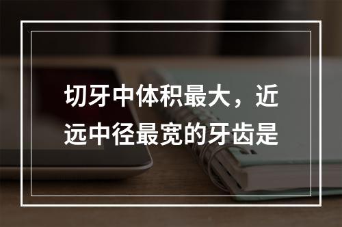 切牙中体积最大，近远中径最宽的牙齿是