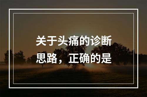 关于头痛的诊断思路，正确的是