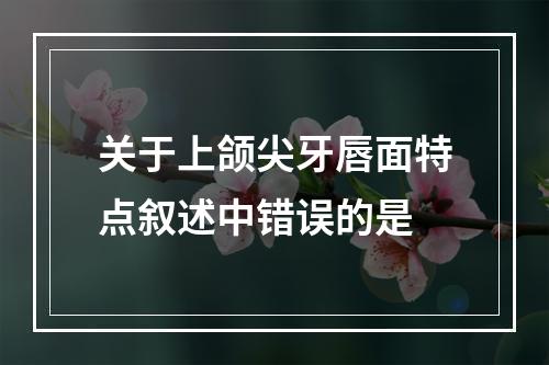 关于上颌尖牙唇面特点叙述中错误的是