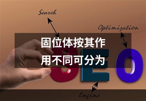 固位体按其作用不同可分为