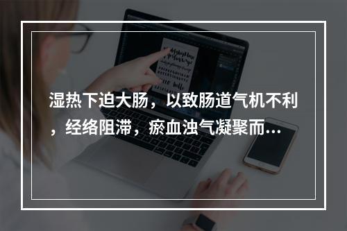 湿热下迫大肠，以致肠道气机不利，经络阻滞，瘀血浊气凝聚而成的