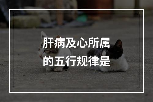 肝病及心所属的五行规律是