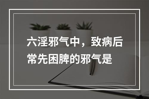 六淫邪气中，致病后常先困脾的邪气是