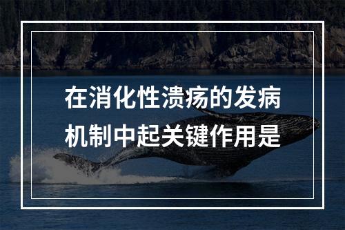 在消化性溃疡的发病机制中起关键作用是