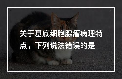 关于基底细胞腺瘤病理特点，下列说法错误的是