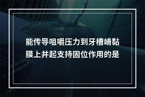 能传导咀嚼压力到牙槽嵴黏膜上并起支持固位作用的是