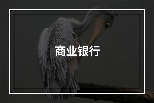 商业银行