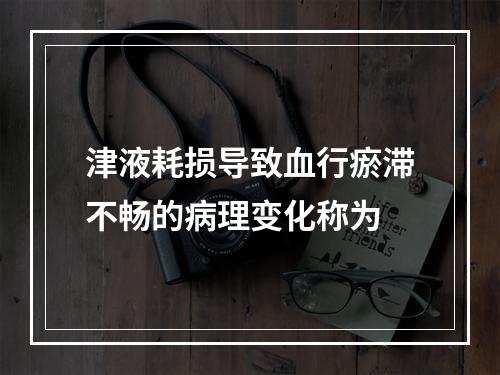 津液耗损导致血行瘀滞不畅的病理变化称为