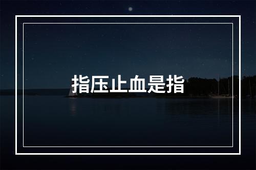 指压止血是指