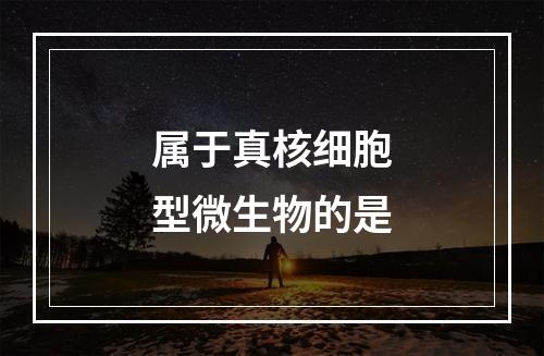 属于真核细胞型微生物的是