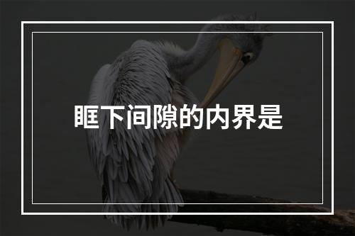 眶下间隙的内界是