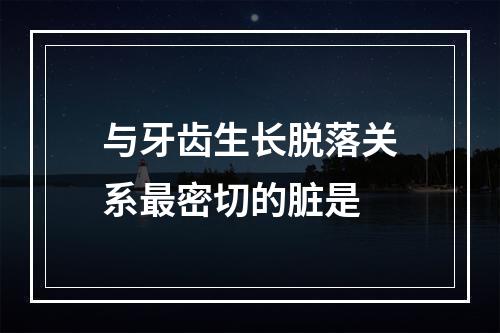 与牙齿生长脱落关系最密切的脏是