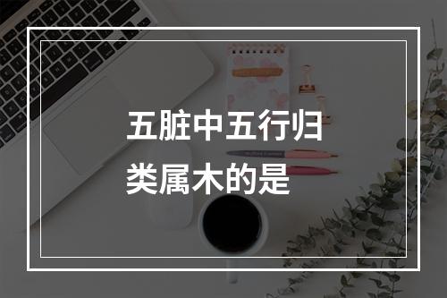 五脏中五行归类属木的是