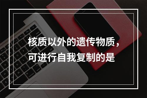 核质以外的遗传物质，可进行自我复制的是