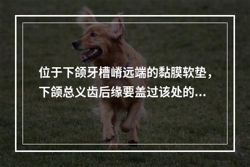 位于下颌牙槽嵴远端的黏膜软垫，下颌总义齿后缘要盖过该处的1/