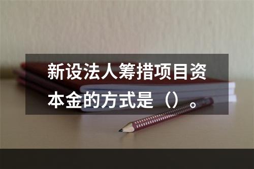 新设法人筹措项目资本金的方式是（）。