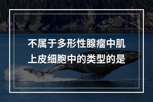 不属于多形性腺瘤中肌上皮细胞中的类型的是