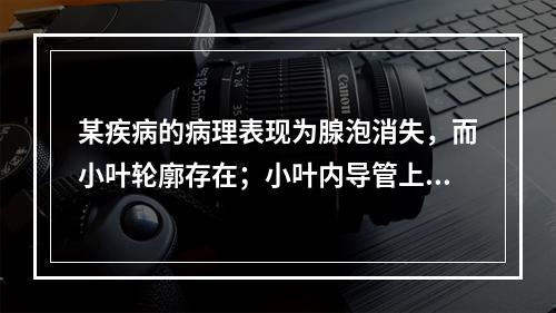 某疾病的病理表现为腺泡消失，而小叶轮廓存在；小叶内导管上皮增