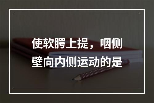 使软腭上提，咽侧壁向内侧运动的是