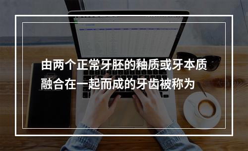 由两个正常牙胚的釉质或牙本质融合在一起而成的牙齿被称为