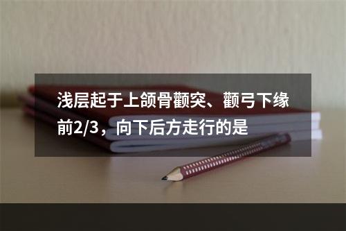 浅层起于上颌骨颧突、颧弓下缘前2/3，向下后方走行的是