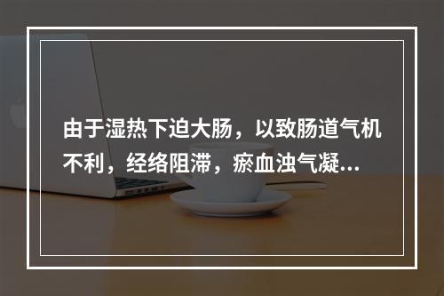 由于湿热下迫大肠，以致肠道气机不利，经络阻滞，瘀血浊气凝聚而