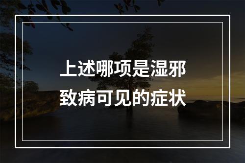 上述哪项是湿邪致病可见的症状