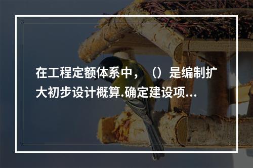 在工程定额体系中，（）是编制扩大初步设计概算.确定建设项目投