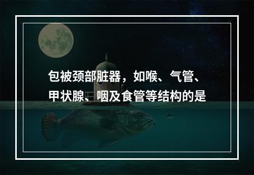 包被颈部脏器，如喉、气管、甲状腺、咽及食管等结构的是