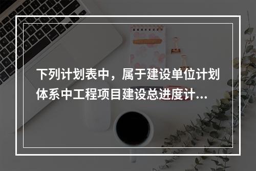 下列计划表中，属于建设单位计划体系中工程项目建设总进度计划的