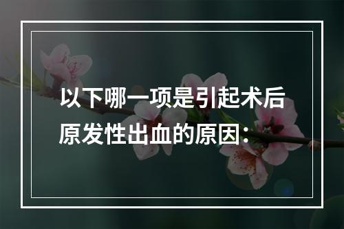 以下哪一项是引起术后原发性出血的原因：