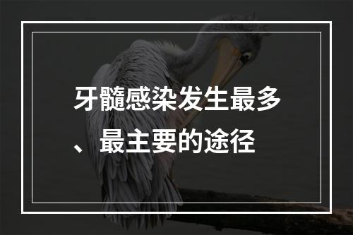 牙髓感染发生最多、最主要的途径