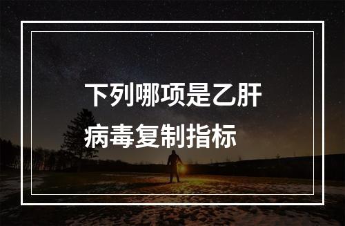 下列哪项是乙肝病毒复制指标