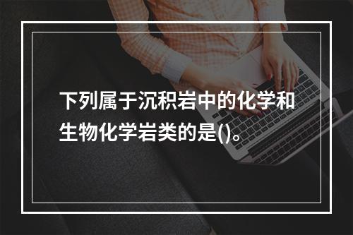 下列属于沉积岩中的化学和生物化学岩类的是()。