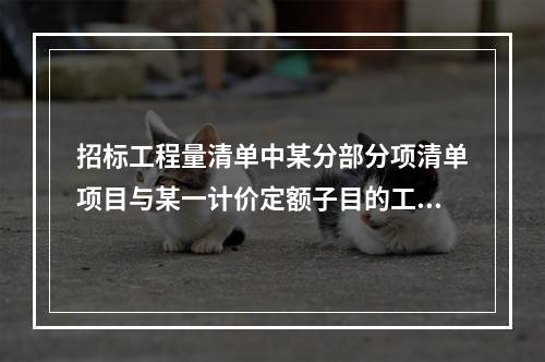 招标工程量清单中某分部分项清单项目与某一计价定额子目的工作内