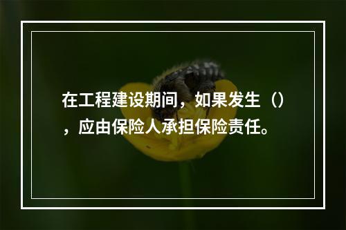 在工程建设期间，如果发生（），应由保险人承担保险责任。