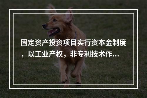 固定资产投资项目实行资本金制度，以工业产权，非专利技术作价出