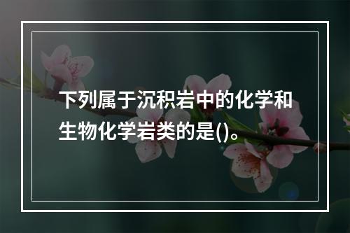 下列属于沉积岩中的化学和生物化学岩类的是()。