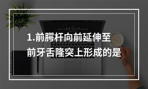 1.前腭杆向前延伸至前牙舌隆突上形成的是