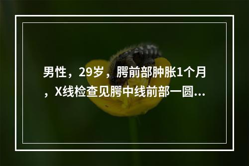 男性，29岁，腭前部肿胀1个月，X线检查见腭中线前部一圆形透