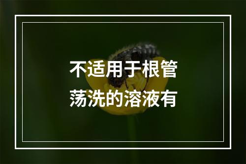 不适用于根管荡洗的溶液有