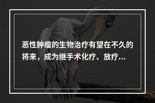 恶性肿瘤的生物治疗有望在不久的将来，成为继手术化疗、放疗之后