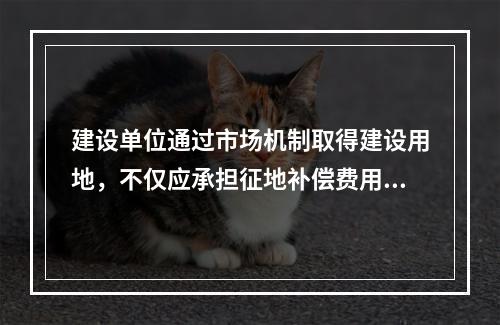 建设单位通过市场机制取得建设用地，不仅应承担征地补偿费用、拆