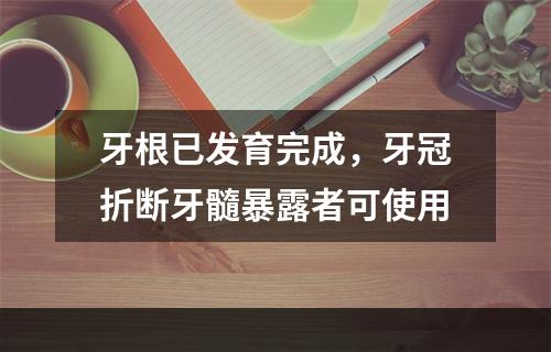 牙根已发育完成，牙冠折断牙髓暴露者可使用