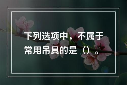 下列选项中，不属于常用吊具的是（）。