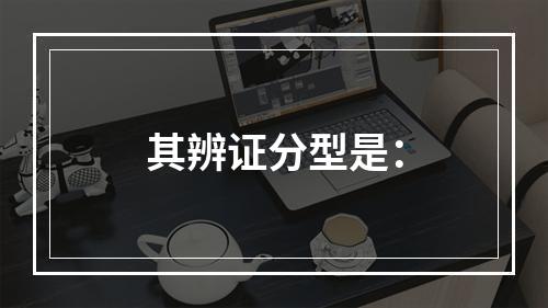 其辨证分型是：