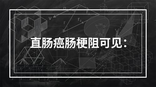 直肠癌肠梗阻可见：