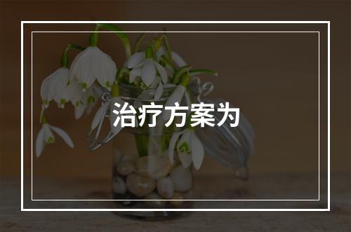 治疗方案为