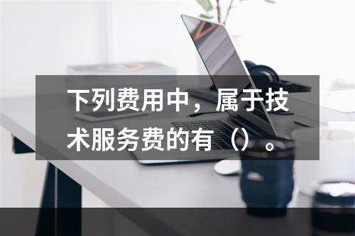 下列费用中，属于技术服务费的有（）。